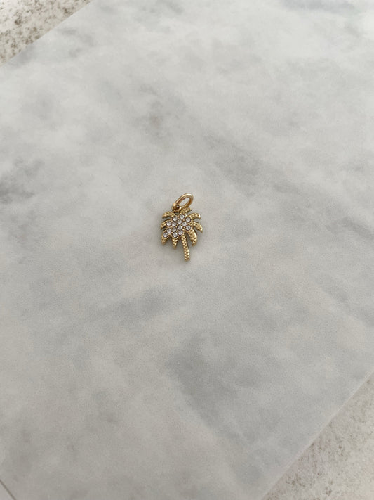 CHAMR PALMERA CIRCONITAS