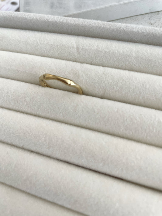 ANILLO RAICES