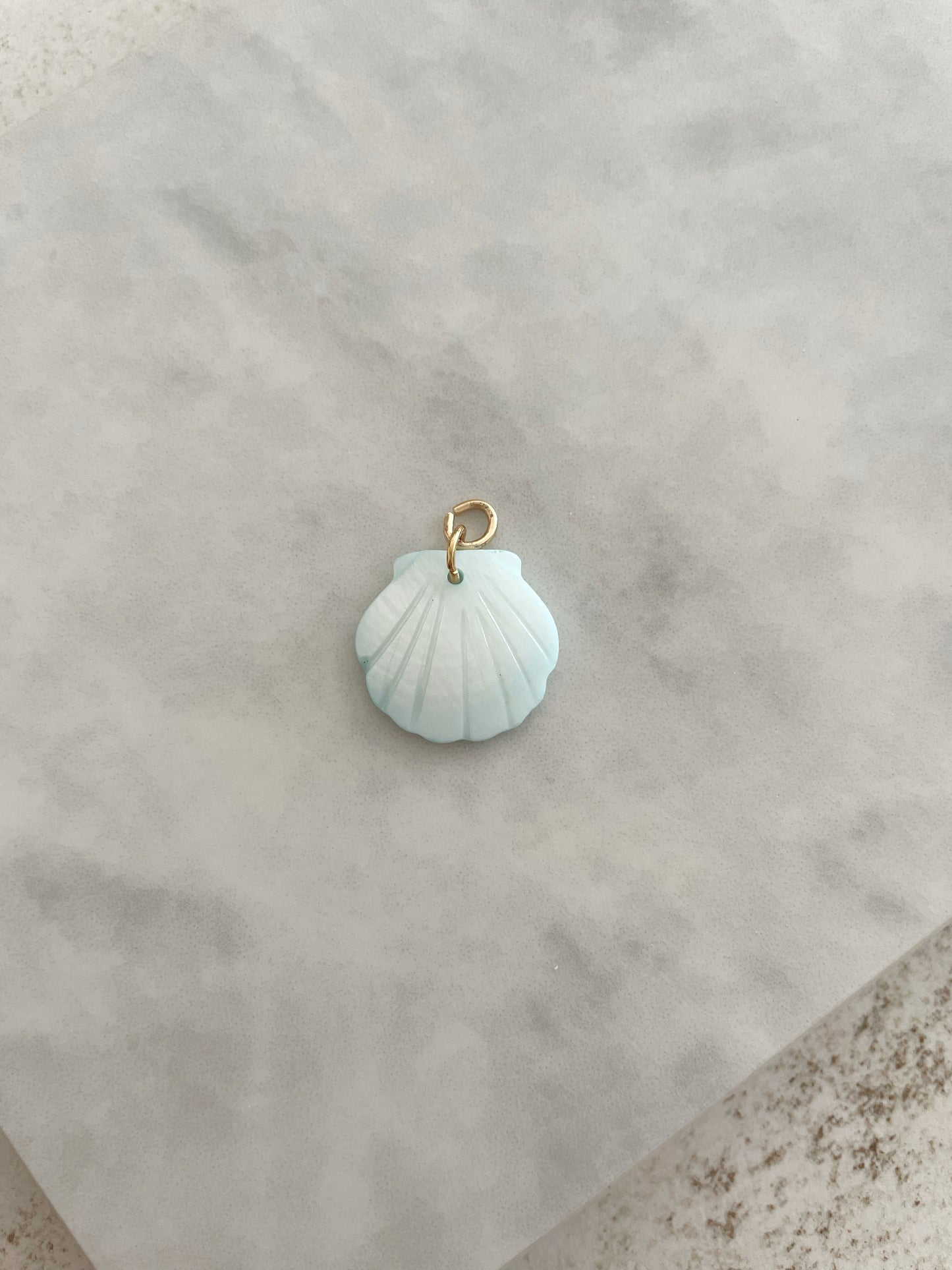 CHARM CONCHA