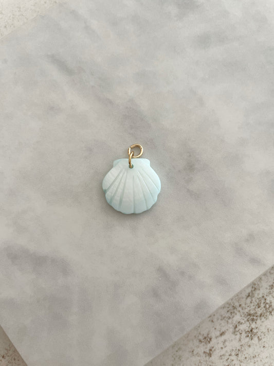 CHARM CONCHA