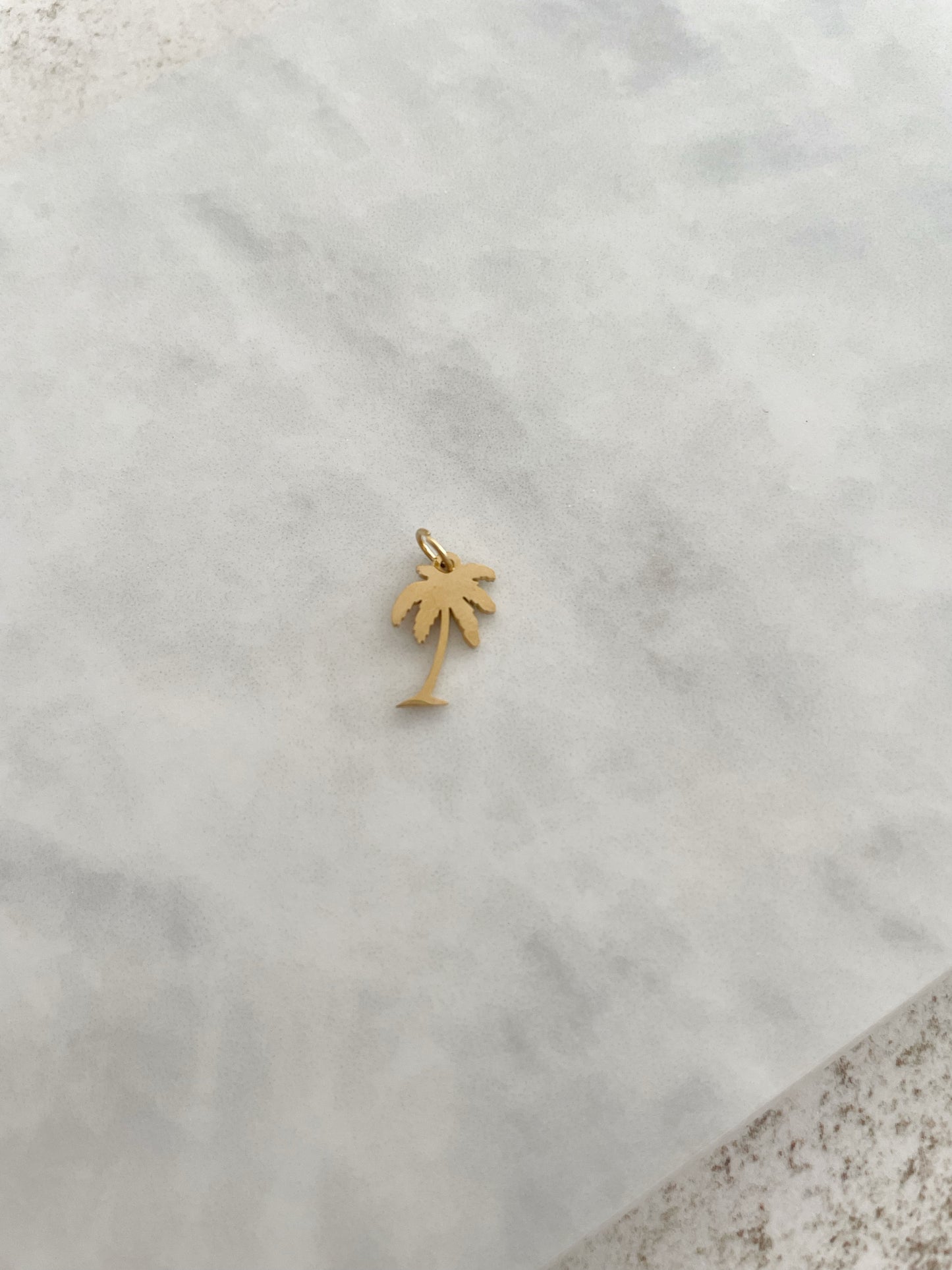 CHARM PALMERA