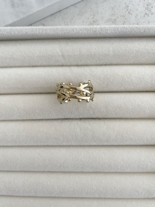 ANILLO RAMAL